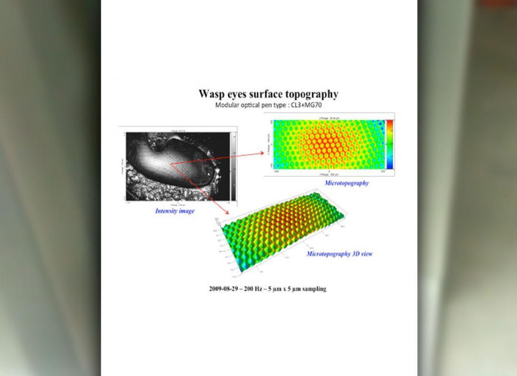 Acuity White Light Confocal Medical Scans