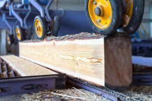 Lumber Length Measurement in Sorting Lines