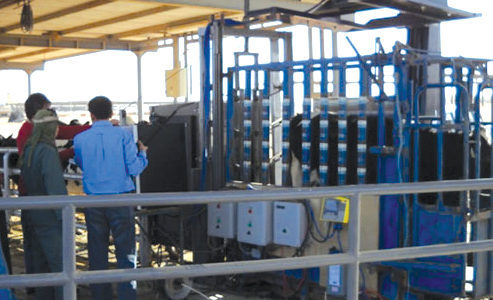 Cattle and Livestock height measurement with lasers