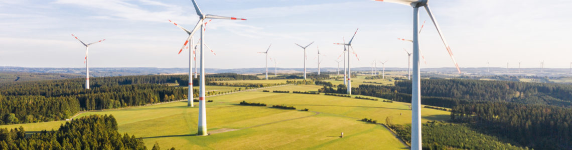 Wind Turbine Blade Displacement