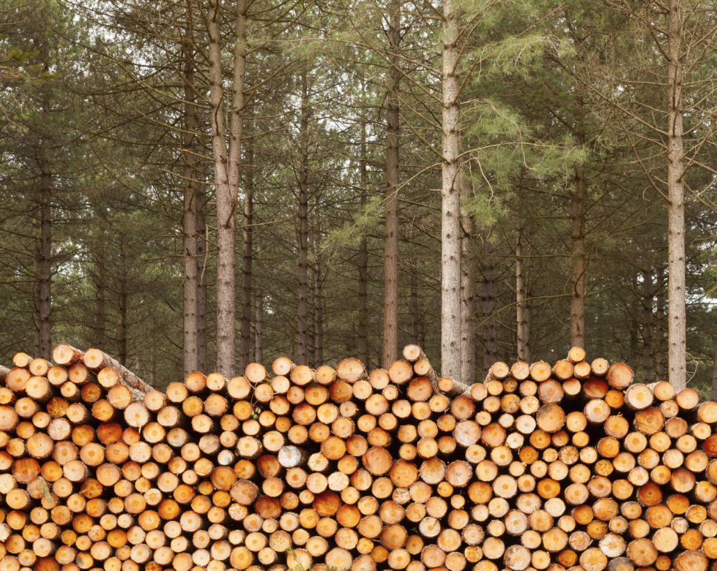 Log Height Measuring Log Height Measuring