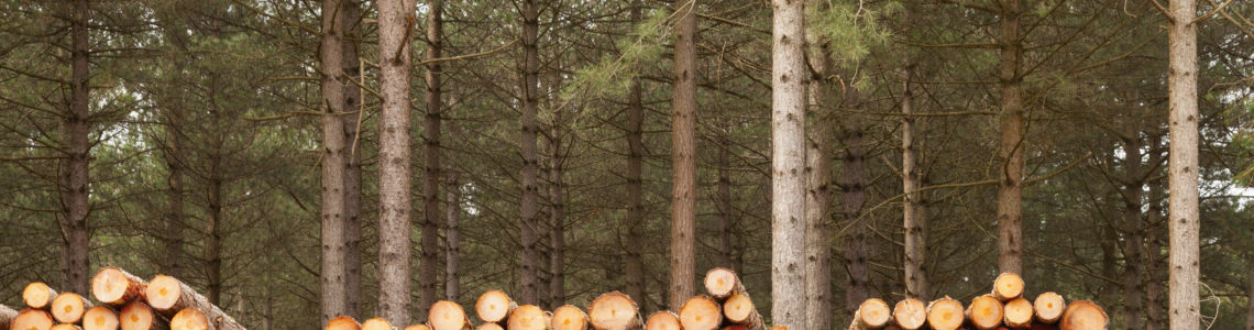 Log Height Measuring